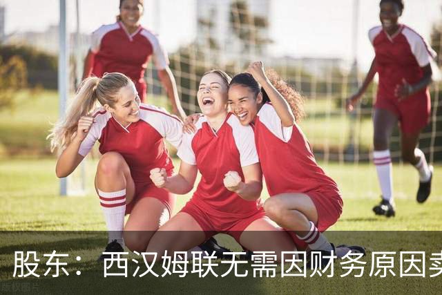 股东：西汉姆联无需因财务原因卖核心球员，要以最快速度重返英超
